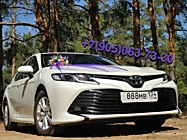 Престиж, комфорт и надежность с компанией СВАДЕБНЫЙ КОРТЕЖ ВОЛГОГРАД! Авто и стильный декор по доступным ценам! Высококлассный сервис гарантируем! Престиж, комфорт и надежность с компанией СВАДЕБНЫЙ КОРТЕЖ ВОЛГОГРАД! Авто и стильный декор по доступным ценам! Высококлассный сервис гарантируем!