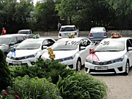 Машины и украшения на свадебные авто в Волгограде. Свадебный кортеж в любой район города!